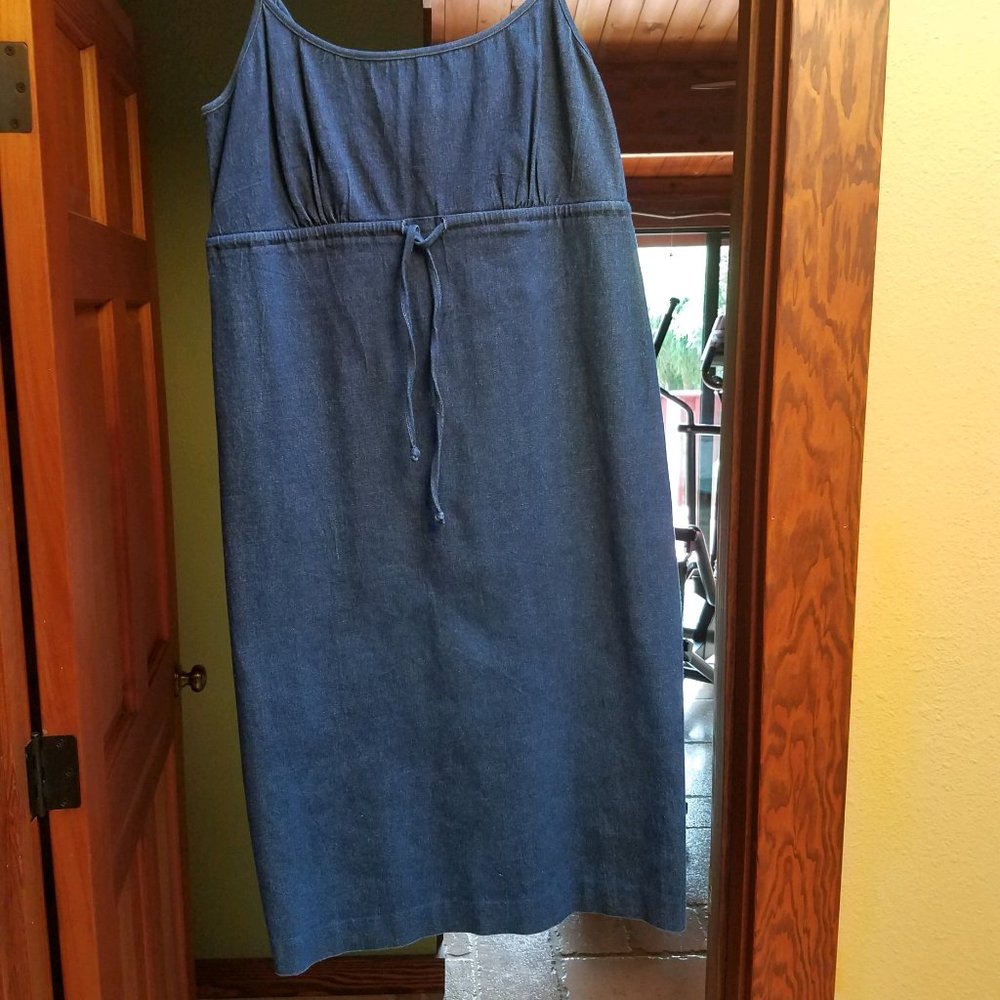 ERIK STEWART DENIM DRESS